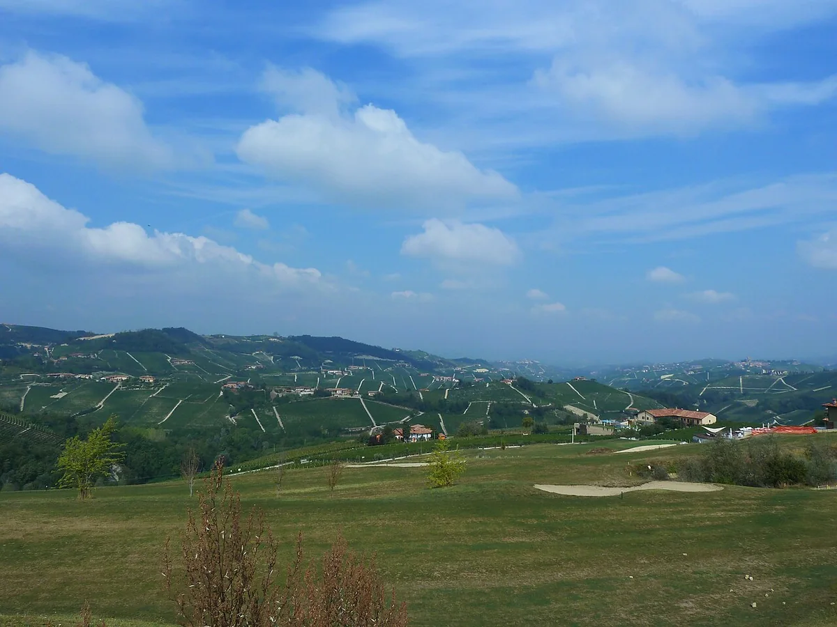 Context photograph of the Langhe hills in Piedmont, Italy